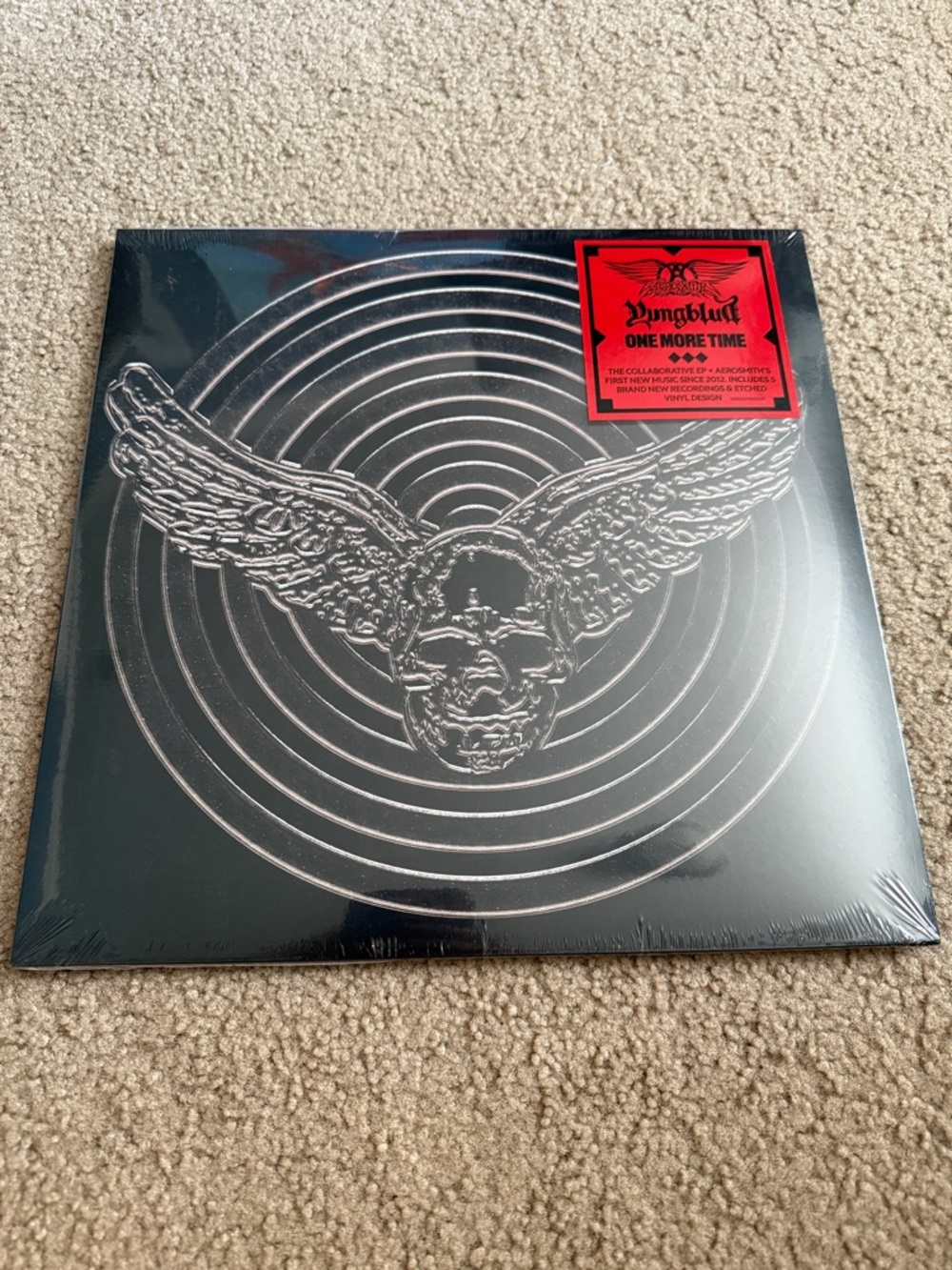 Yungblud One More Time Winged Skull Wall Art – Black & Silver